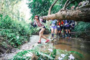 BIB: 
                            <button type="button" onclick="openModal(25470823)" class="btn btn-primary btn-sm float-right btn-popup" data-toggle="modal" data-target=".modal-high-quality">
                        <i class="fas fa-shopping-cart"></i> Add to Cart
                    </button>
                                            <button type="button" onclick="isThisMe(25470823, true)" class="btn btn-success btn-sm float-right btn-popup btn-isme hidden" data-toggle="tooltip" data-placement="bottom" title="นี่คือรูปของคุณใช่ไหม คลิกที่นี่เพื่อเอาเข้าอัลบั้ม">
                        <i class="fas fa-plus"></i> Add to album
                    </button>
                    <button type="button" onclick="isThisMe(25470823, false)" class="btn btn-warning btn-sm float-right btn-popup btn-isnotme hidden">
                        <i class="fas fa-ban"></i> Remove from album
                    </button>